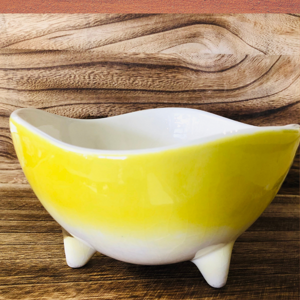 Matthew Adams Alaska Series - Footed Bowl Moose