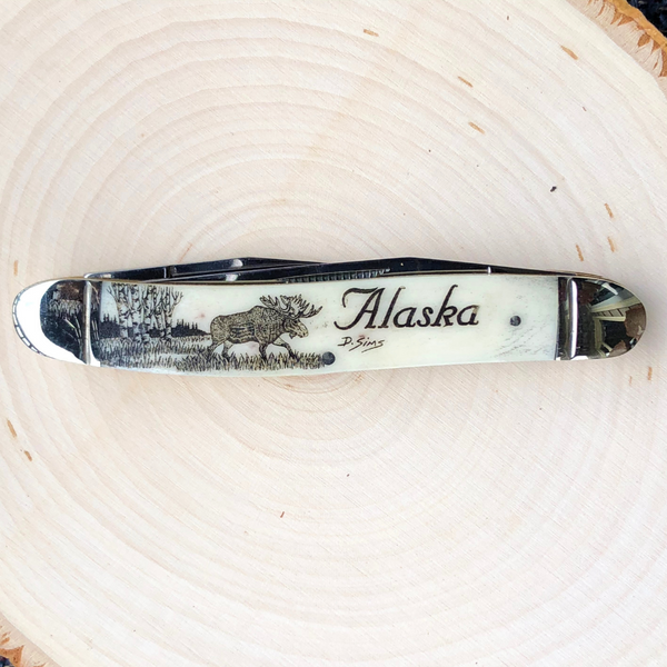 Scrimshaw Muskrat Pocket Knife - Moose