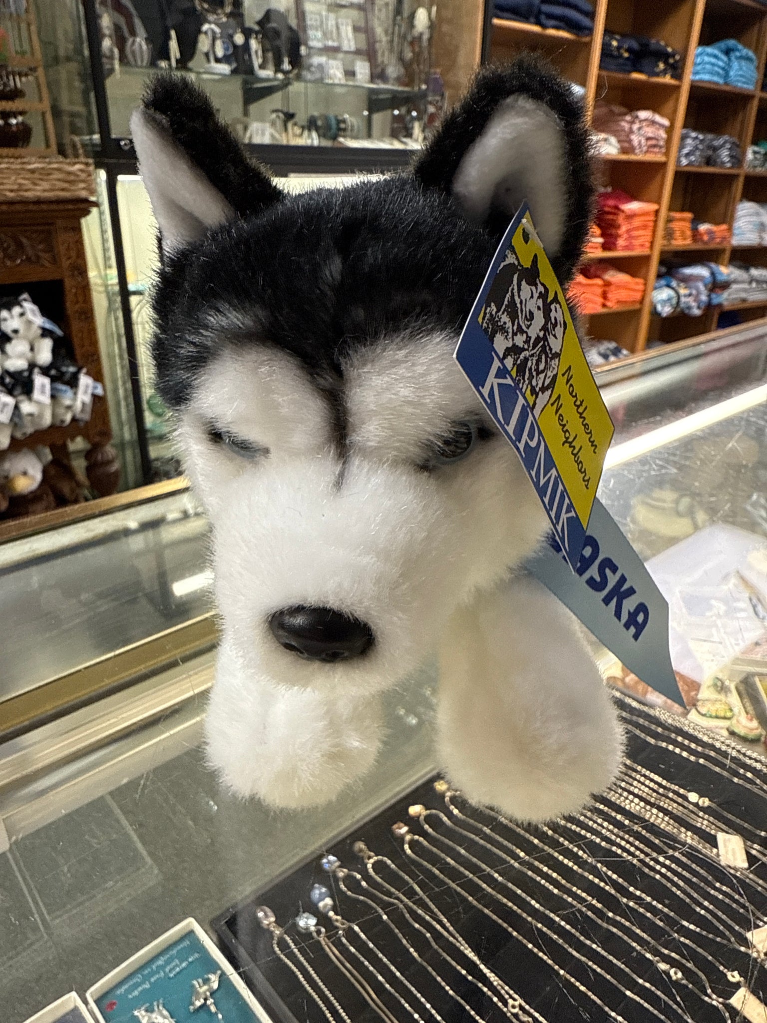 Lying Husky 10”