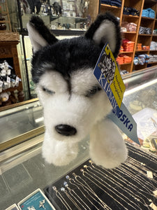 Lying Husky 10”