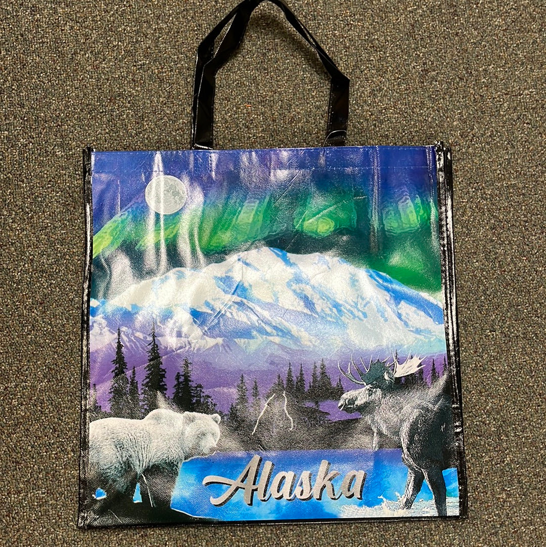 BAG Reusable Northen Lights Foil