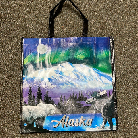 BAG Reusable Northen Lights Foil