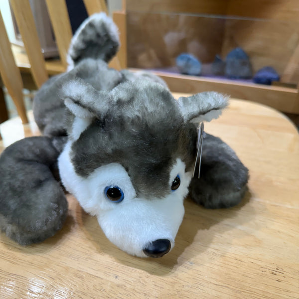Lying Husky 13”