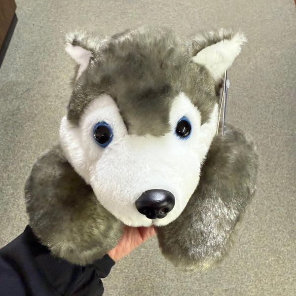 Lying Husky 13”