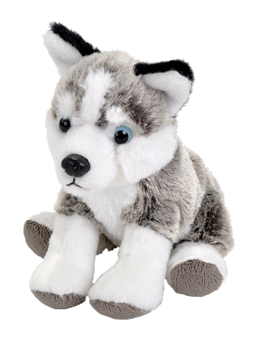 POCKETKINS-DOG HUSKY