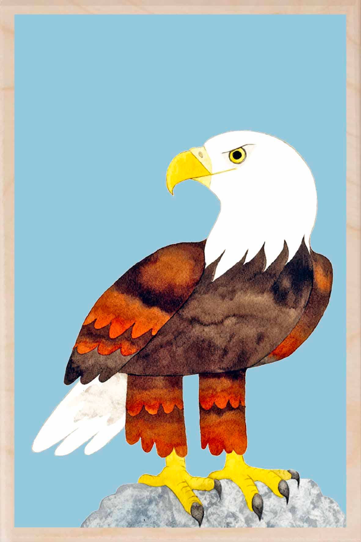 BALD EAGLE wooden postcard Matt Sewell Birds™