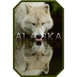 Vinyl Sticker Alaska, Wolf Drinking