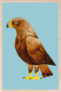 GOLDEN EAGLE wooden postcard Matt Sewell Birds™