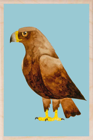 GOLDEN EAGLE wooden postcard Matt Sewell Birds™