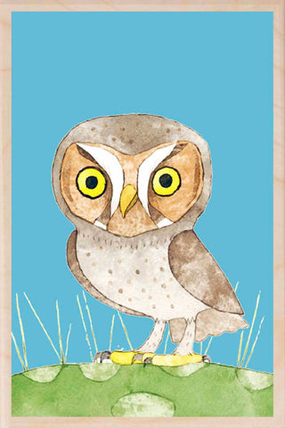 ELF OWL wooden postcard Matt Sewell Birds™