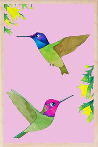 HUMMINGBIRDS wooden postcard Matt Sewell Birds™