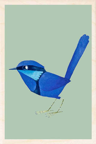 SPLENDID FAIRYWREN wooden postcard Matt Sewell Birds™