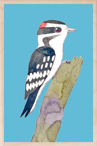 DOWNY WOODPECKER wooden postcard Matt Sewell Birds™