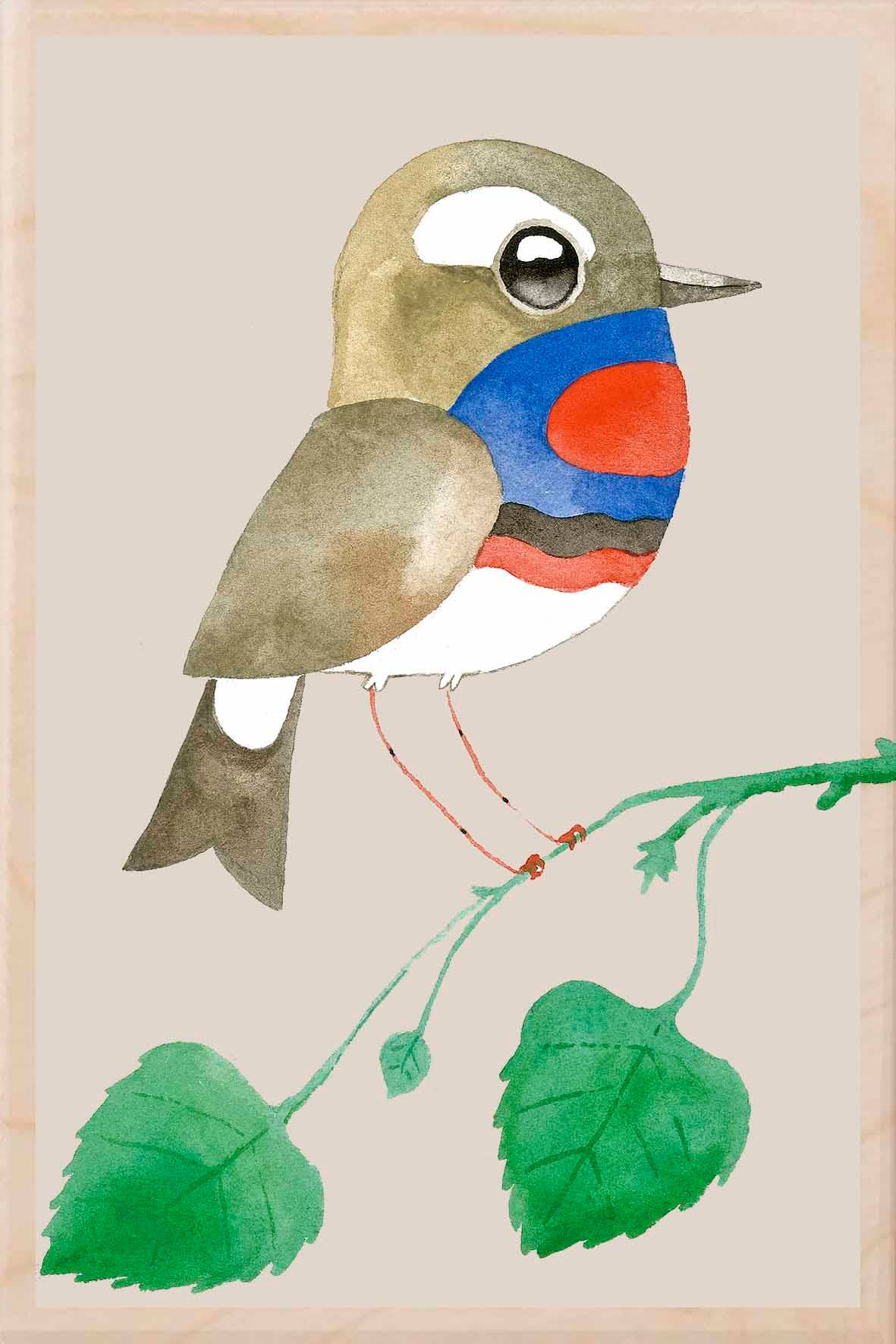 BLUETHROAT wooden postcard Matt Sewell Birds™