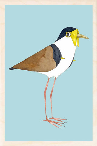 MASKED LAPWING wooden postcard Matt Sewell Birds™