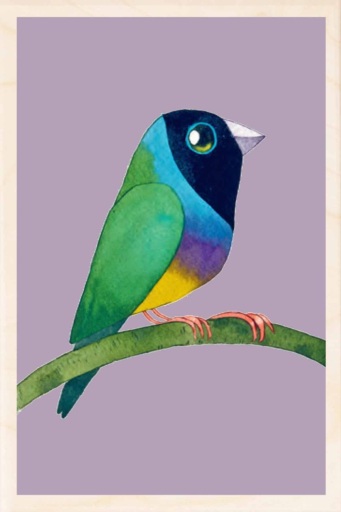 GOULDIAN FINCH wooden postcard Matt Sewell Birds™