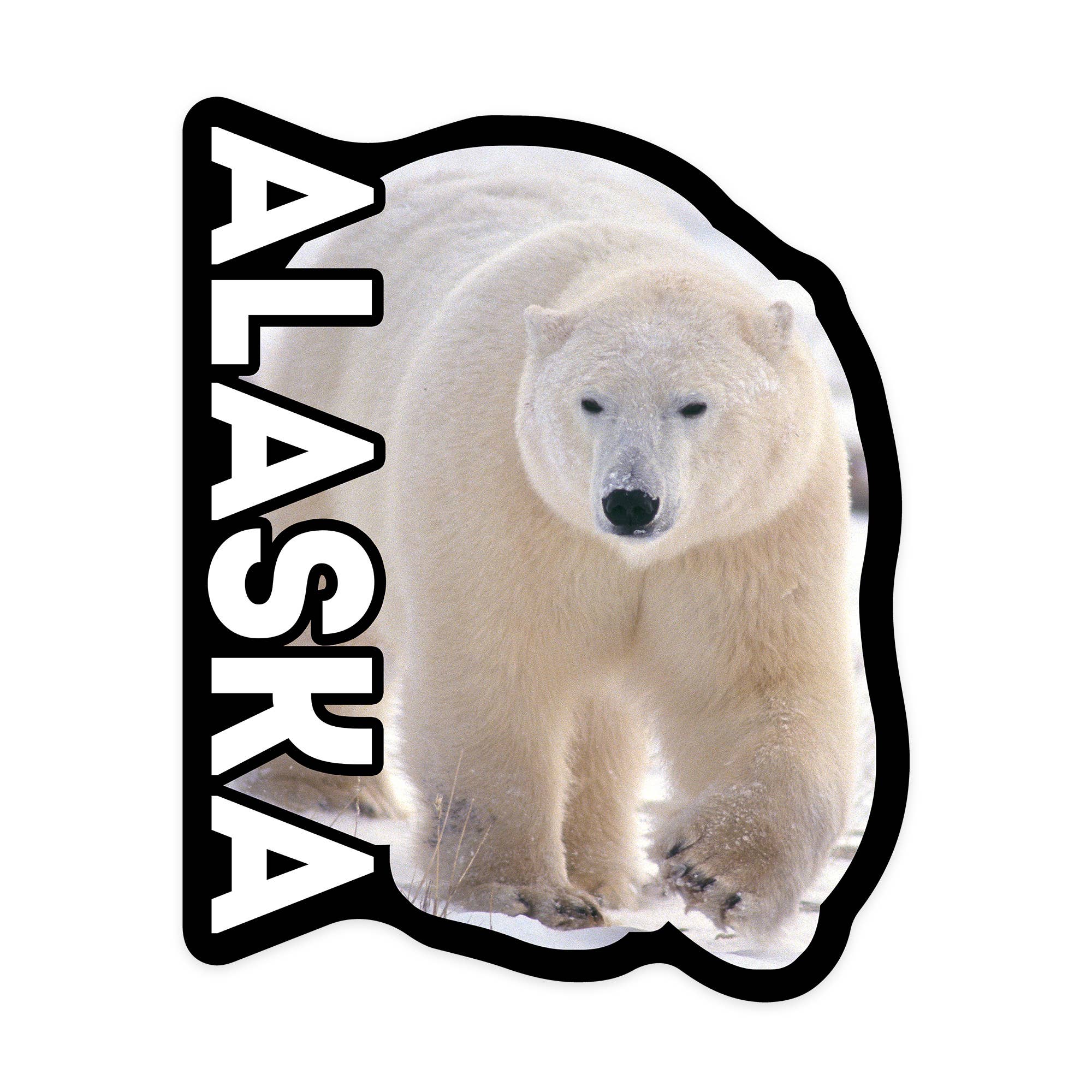 Vinyl Sticker Alaska, Polar Bear