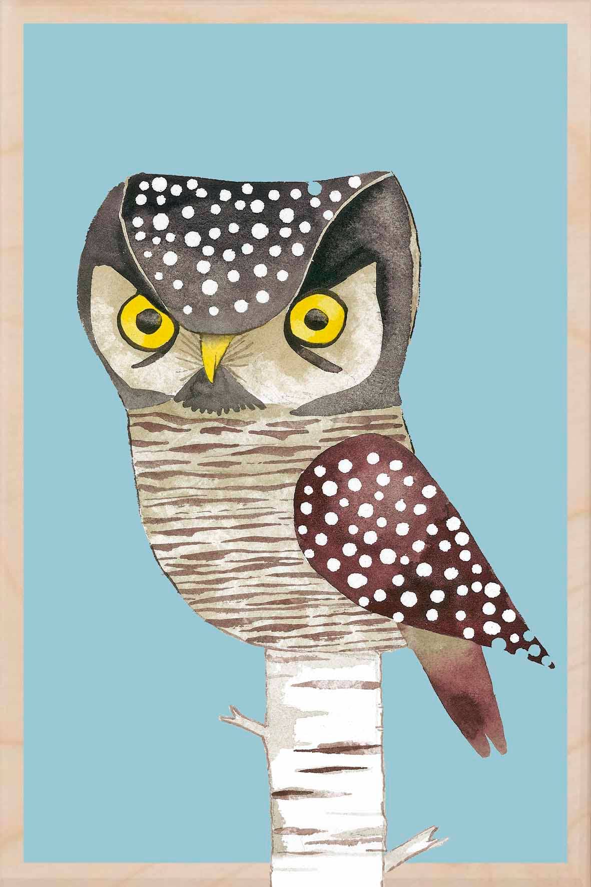 HAWK OWL wooden postcard Matt Sewell Birds™
