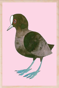 COOT wooden postcard Matt Sewell Birds™