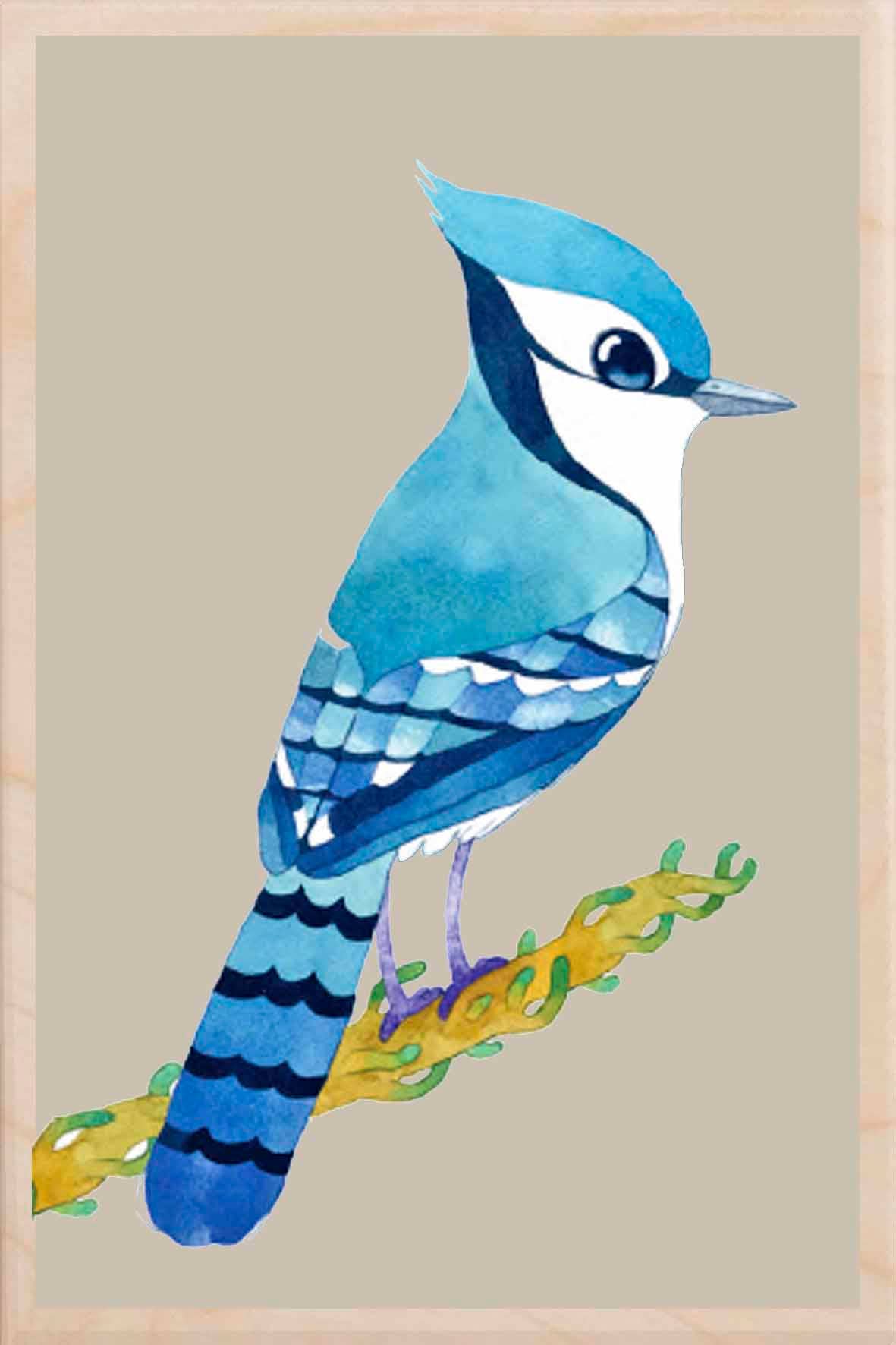 BLUE JAY wooden postcard Matt Sewell Birds™