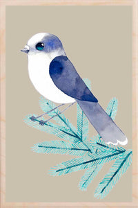 CANADA JAY wooden postcard Matt Sewell Birds™