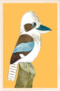 KOOKABURRA wooden postcard Matt Sewell Birds™