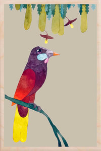 MONTEZUMA OROPENDULA wooden postcard Matt Sewell Birds™