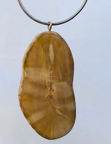 FOSSIL WALRUS IVORY PENDANT